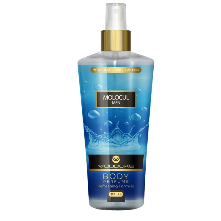 مام صابونی ژیلت arctic ice حجم 48