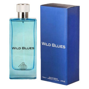 عطر مردانه فراگرنس ورد Wild Blues حجم 100