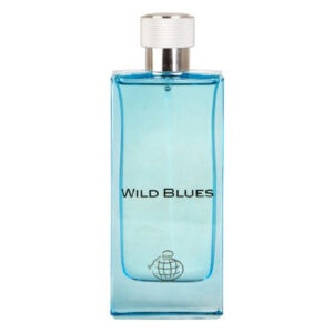 عطر مردانه فراگرنس ورد Wild Blues حجم 100
