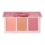 پالت رژگونه شیگلم Sweet Cheeks