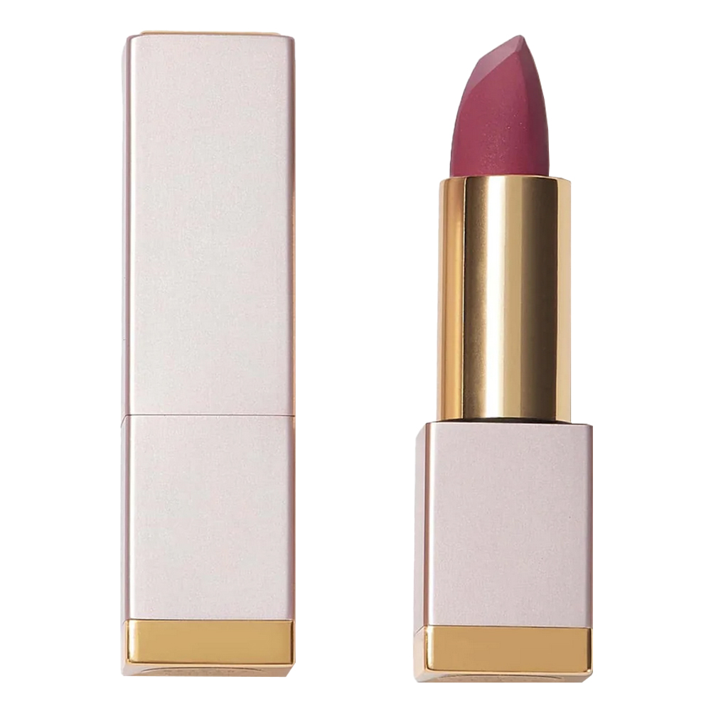 SbBeauty03200529369 رژلب کرمی شیگلم Dry Rose حجم 3/5