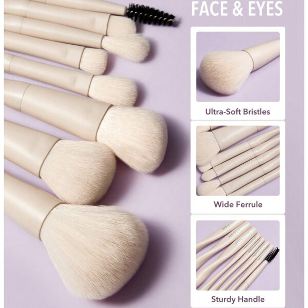 ست براش ۸ عددی شیگلم Pro core brush kit