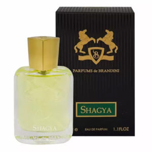 ادوپرفیوم مردانه برندینی Shagya