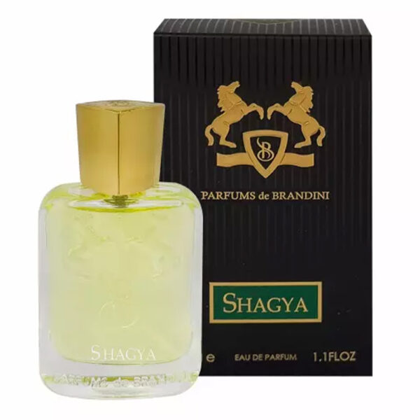 ادوپرفیوم مردانه برندینی Shagya