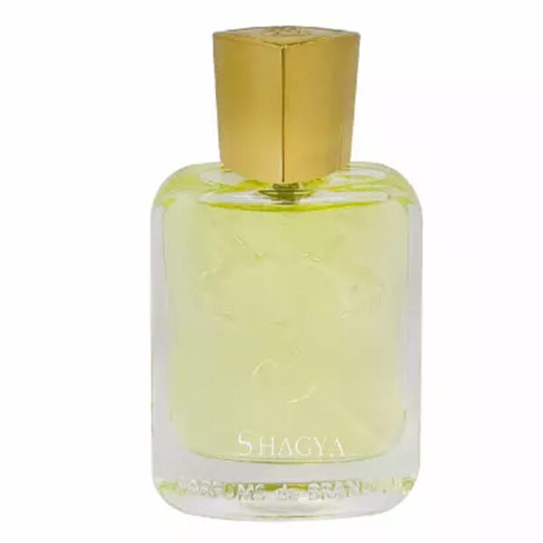ادوپرفیوم مردانه برندینی Shagya