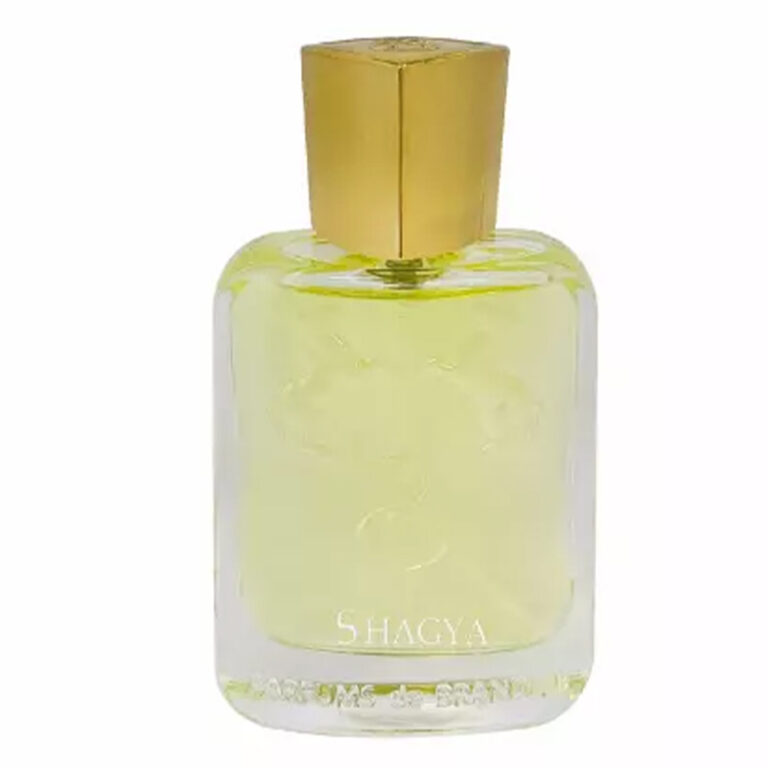ادوپرفیوم مردانه برندینی Shagya حجم 33