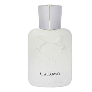 عطر جیبی برندینی Galloway حجم33