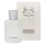 عطر جیبی برندینی Galloway حجم33
