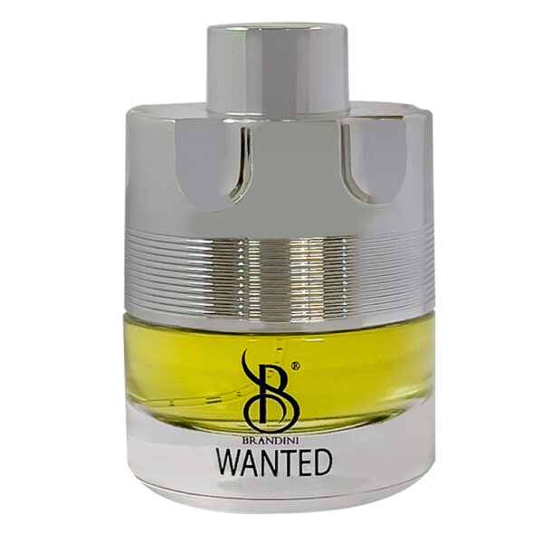 عطر جیبی مردانه برندینی وانتد Wanted