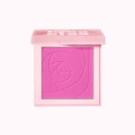 رژگونه پودری شیگلم Love Dive