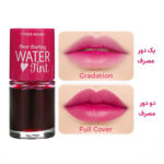 تینت لب اتود هاوس شماره 01
