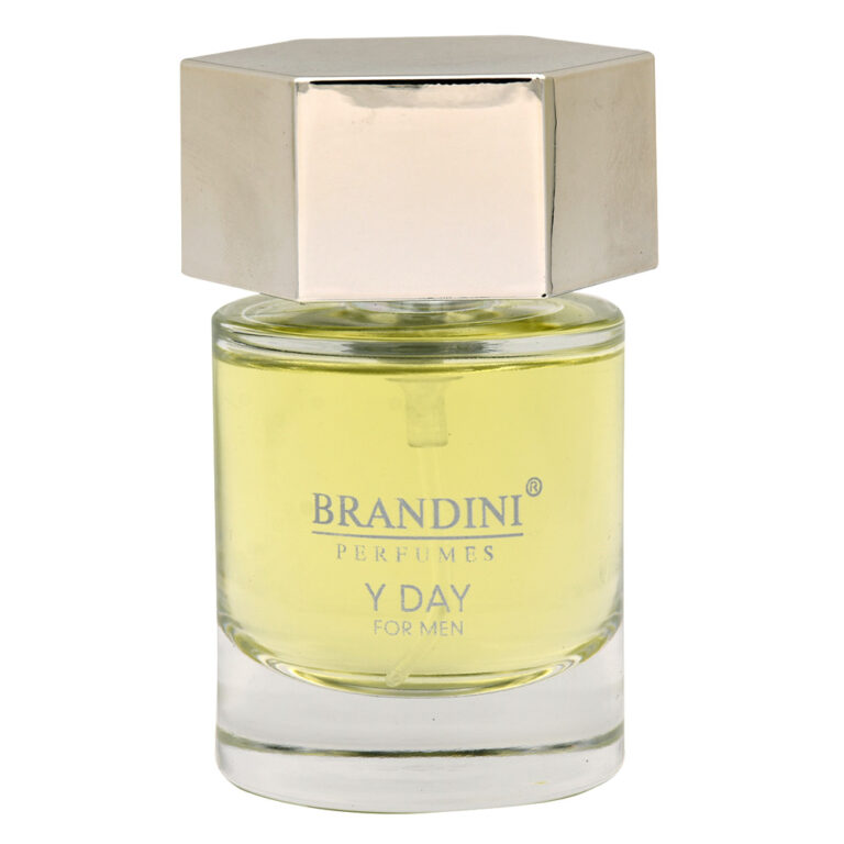 عطر جیبی مردانه برندینی Y Day حجم 25