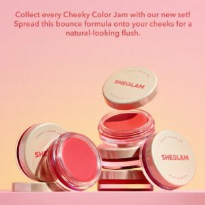 رژگونه کاسه ای شیگلم Cheeky Color Jam