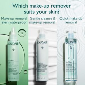 میسلار واتر کدلی Vinoclean