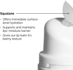 بالم لب اوردینری