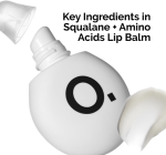 بالم لب اوردینری