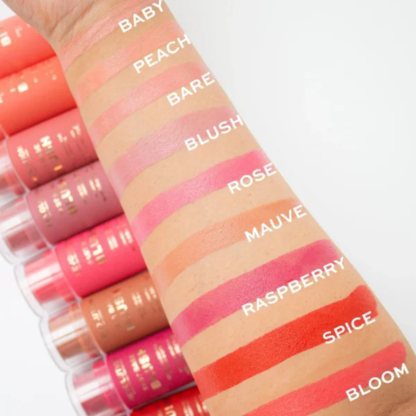 رژ گونه استیکی رولوشن مدل فست بیس رنگ بلاش Blush