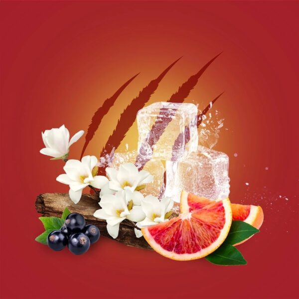 دئودورانت استیکی اولد اسپایس مدل نایت