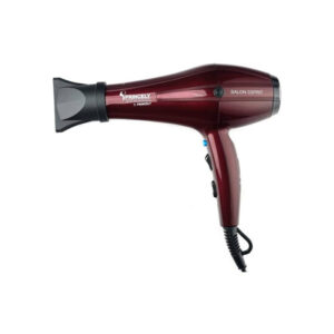 سشوار حرفه ای پرینسلی مدل PR250
