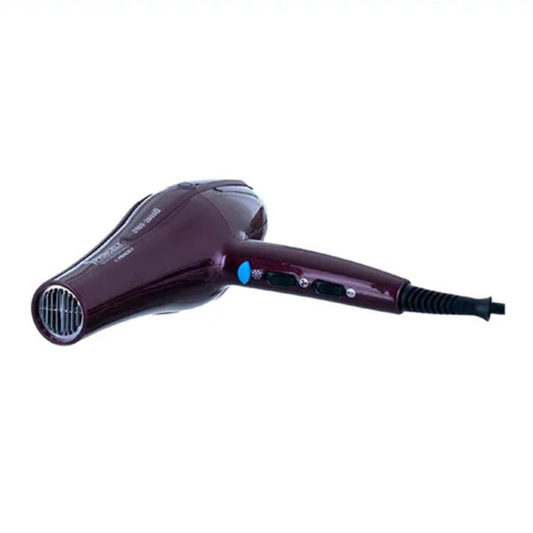 سشوار حرفه ای پرینسلی مدل PR250