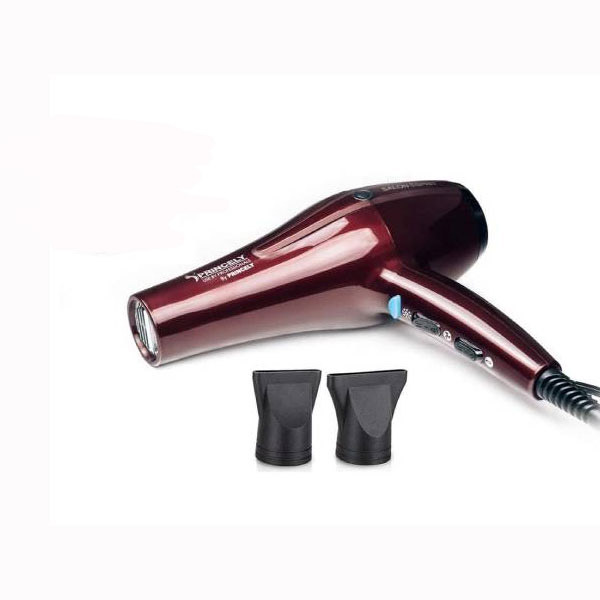 سشوار حرفه ای پرینسلی مدل PR250