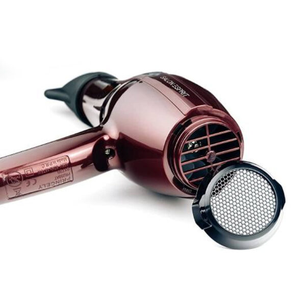 سشوار حرفه ای پرینسلی مدل PR250