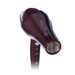 سشوار حرفه ای پرینسلی مدل PR250