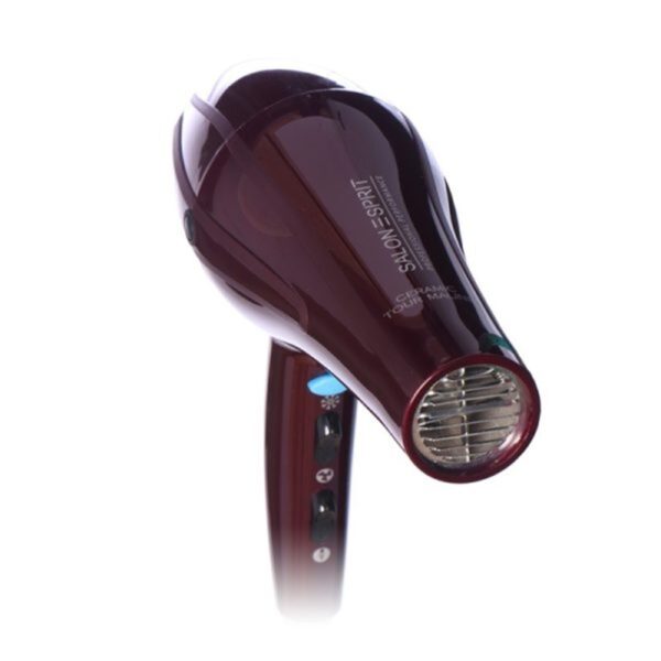 سشوار حرفه ای پرینسلی مدل PR250