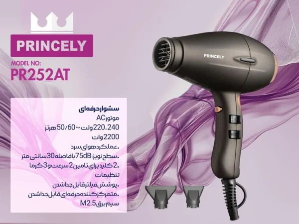 سشوار 2200 وات پرنسلی با موتور AC مدل PR262AT