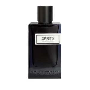 اکستریت دی پرفیوم مردانه برندینی مدل Spirito حجم 90 میل