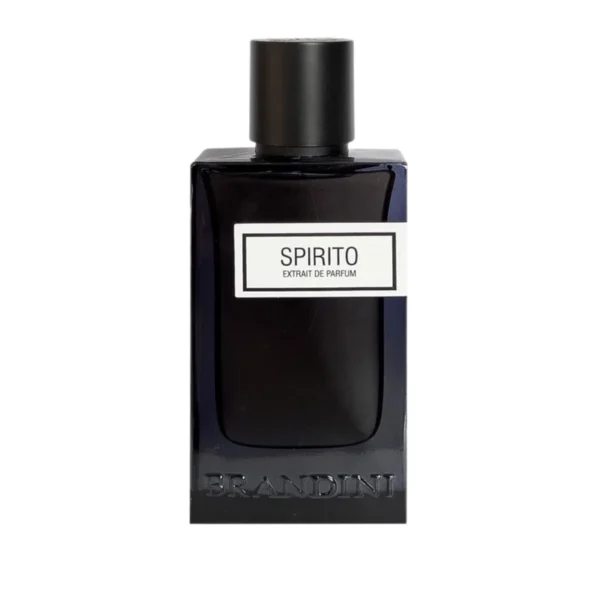 اکستریت دی پرفیوم مردانه برندینی مدل Spirito حجم 90 میل