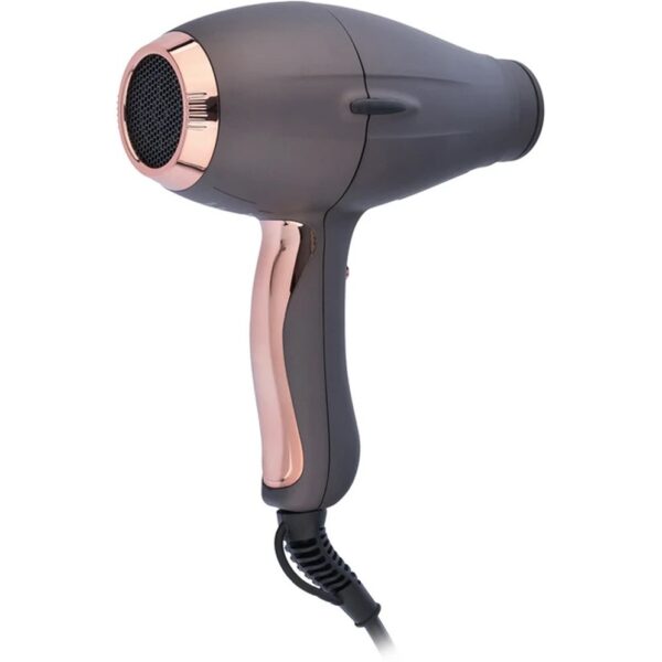 سشوار 2200 وات پرنسلی با موتور AC مدل PR262AT