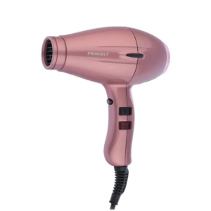 سشوار 2200 وات پرنسلی با موتور AC مدل PR262AT