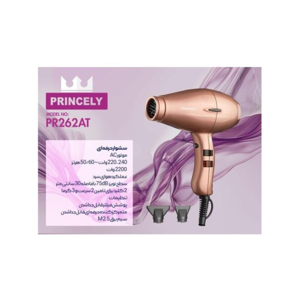 سشوار 2200 وات پرنسلی با موتور AC مدل PR262AT