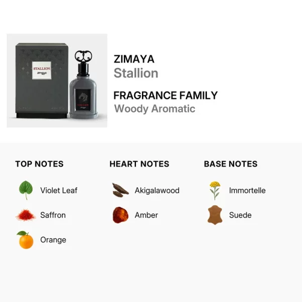 ادوپرفیوم مردانه استالیون زیمایا Zimaya stallion حجم 100 میلی لیتر