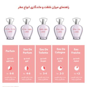 ادوپرفیوم فیکورس مدل New Swankier حجم 100 میل
