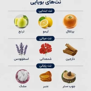ادوپرفیوم ژاکلین مردانه اولترا مدل ژان پل گوتیه 100 میل