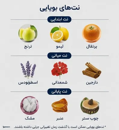 ادوپرفیوم ژاکلین مردانه اولترا مدل ژان پل گوتیه 100 میل
