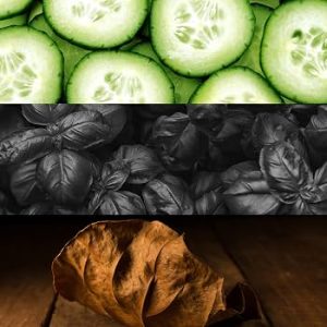 ادوتویلت کالوین کلین سی کی وان شاک مردانه 100 میل