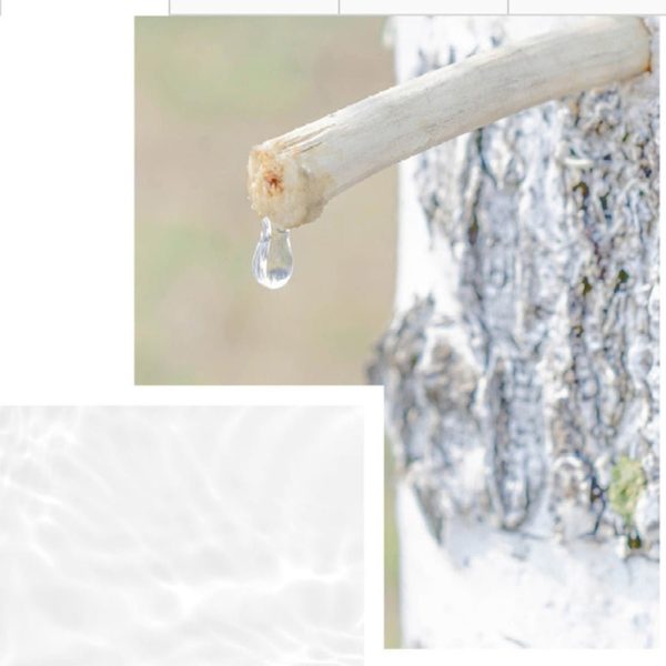 پد تقویت کننده مرطوب کننده آنوا Birch Moisture حجم 160 میل