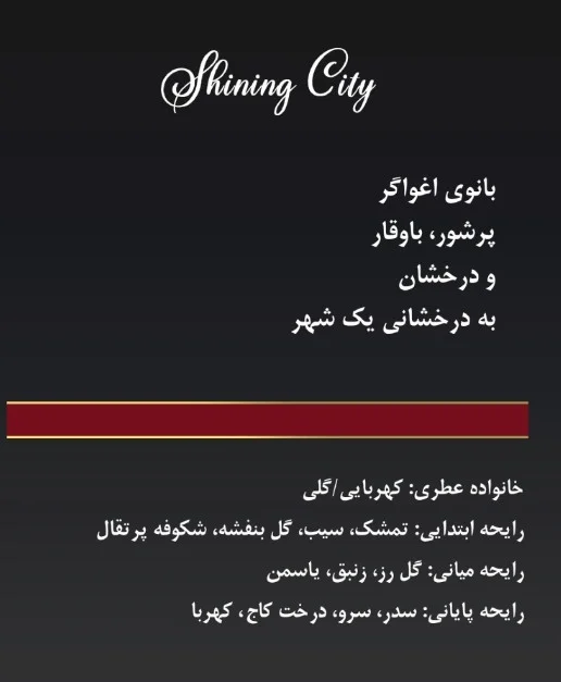ادوپرفیوم شاینینگ سیتی کوردوبا زنانه مدل Shining City حجم 100 میل